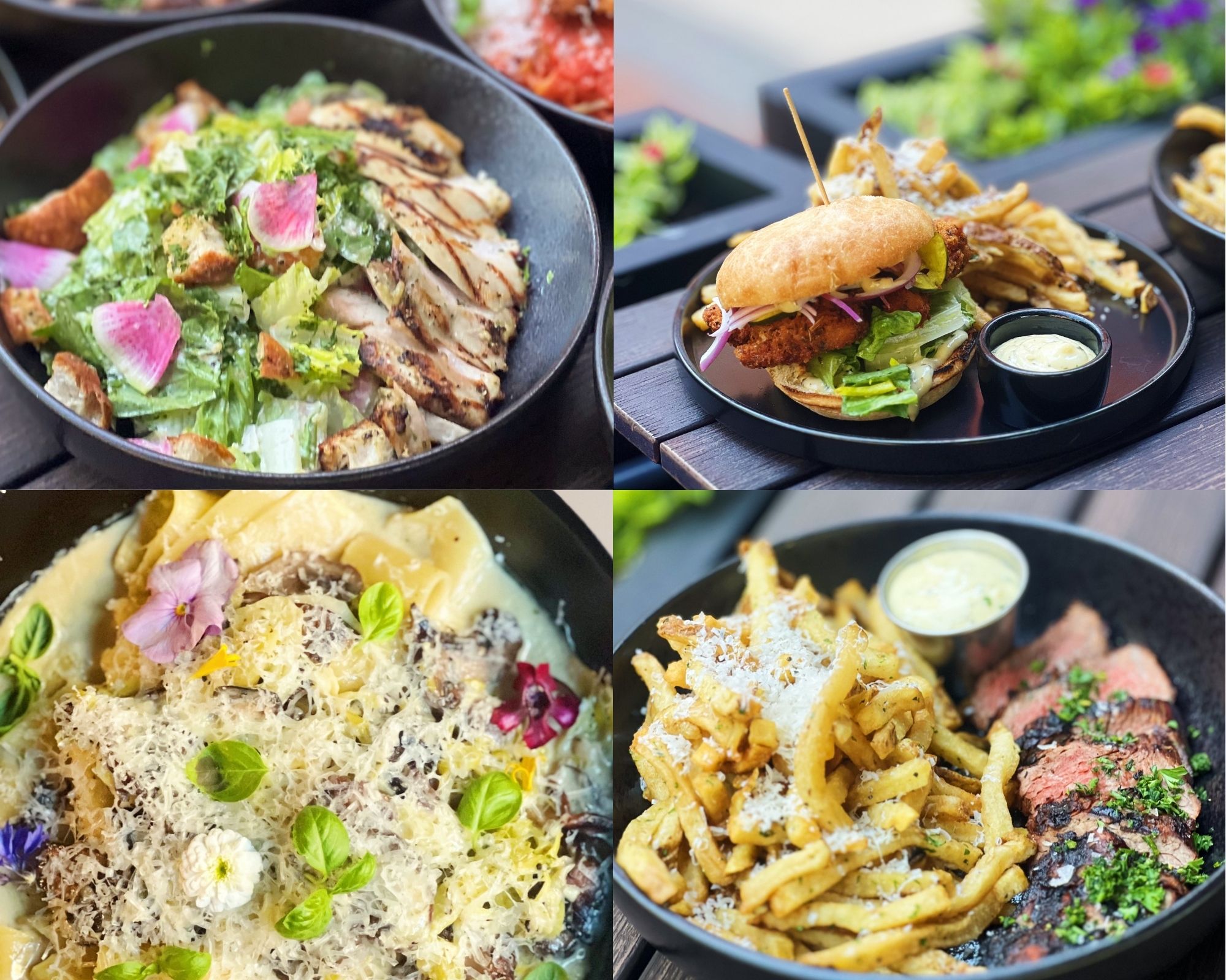 Rustica – A Taste of Italian, Spanish, and French Cuisines